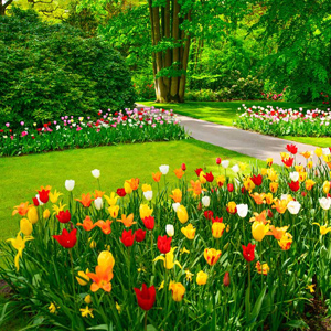 Service garden maintenace 02
