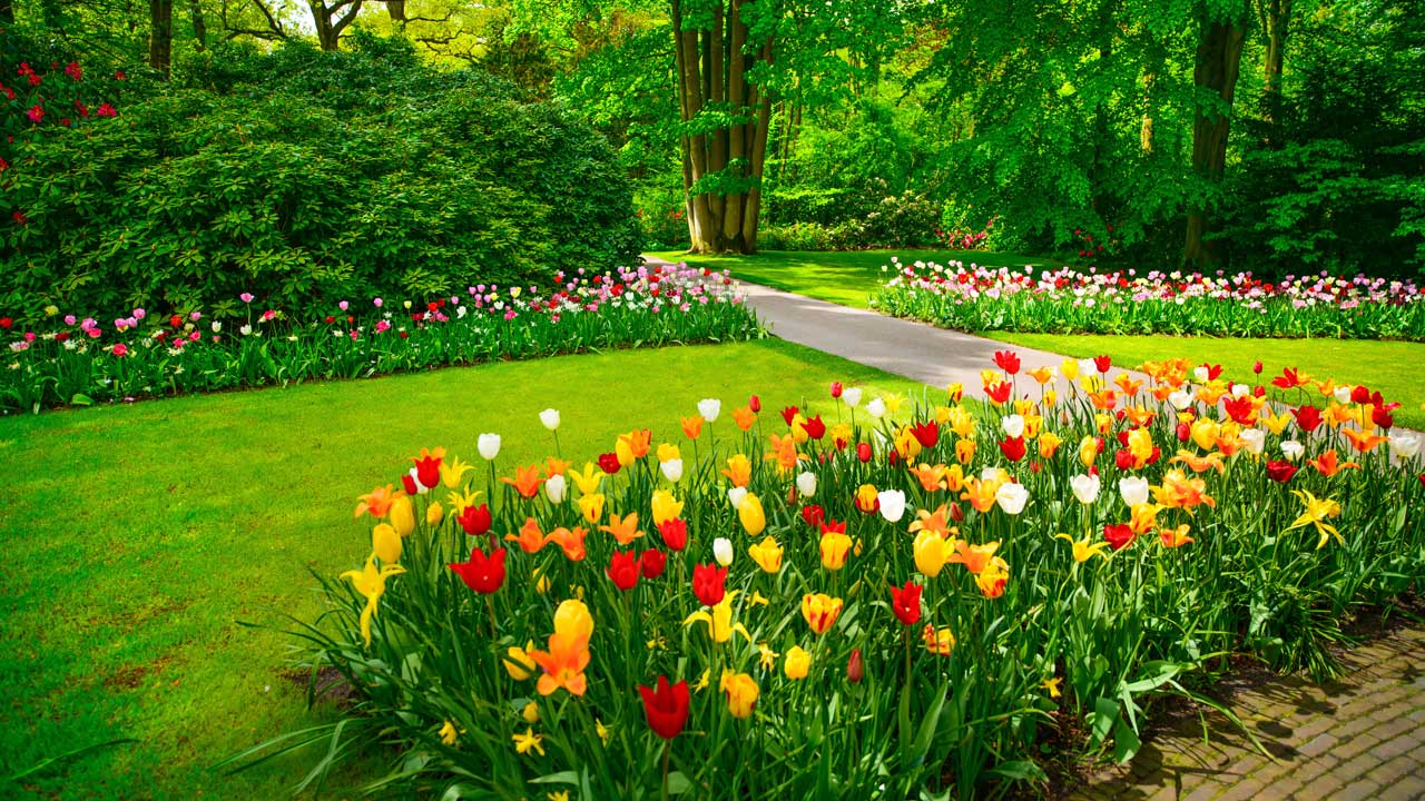 Homepage landscaping