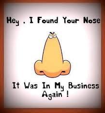 Nose%20in%20business-medium
