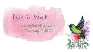 Talk-&-walk-medium