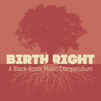 Various Artists - Birthright: A Black Roots Music Compendium [2CD]