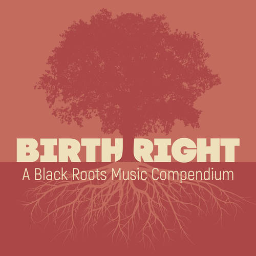 Various Artists - Birthright: A Black Roots Music Compendium [2CD]