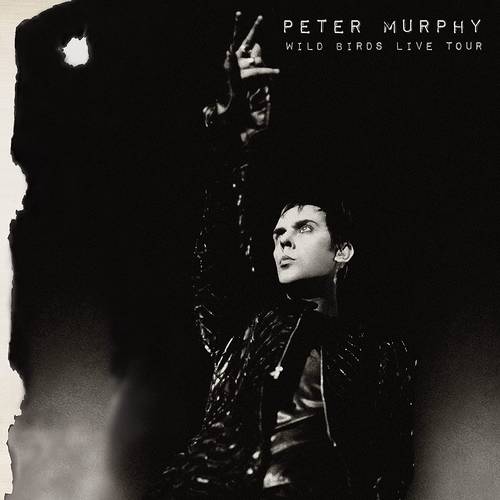 Peter Murphy - Wild Birds Live Tour [Purple & Black 2LP]