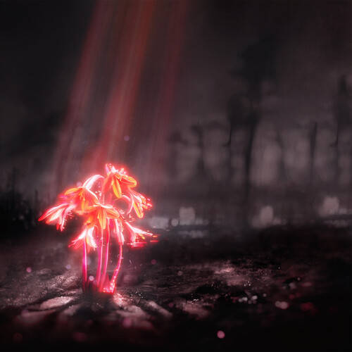 Enter Shikari - A Kiss for the Whole World [Indie Exclusive Limited Edition Transparent Violet Sparkle LP]