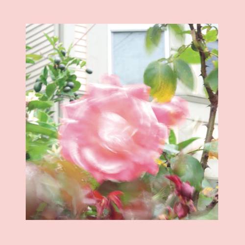 The Reds, Pinks and Purples - Summer At Land's End [Green LP]