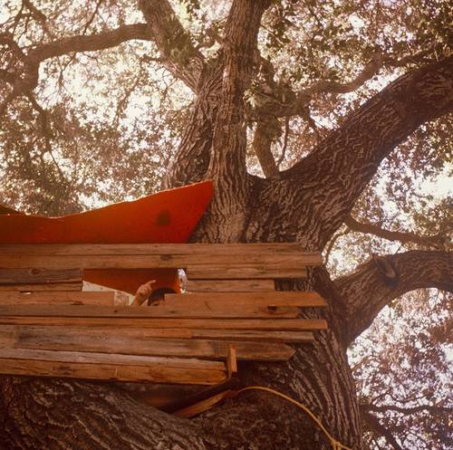 The Backseat Lovers - Waiting To Spill [LP]