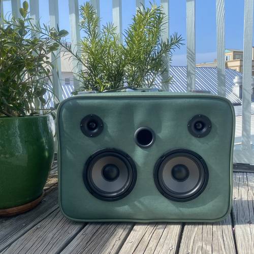 Sonic Suitcase - Green Get Along