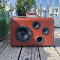 Sonic Suitcase - Red Dust