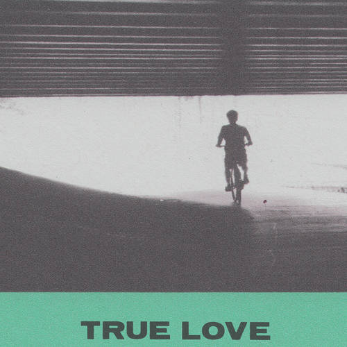 Hovvdy - True Love [Austin Exclusive Limited Edition Translucent Cobalt LP]