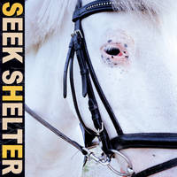Iceage - Seek Shelter [Indie Exclusive Limited Edition Orange LP]
