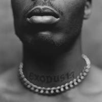 DMX - Exodus [LP]
