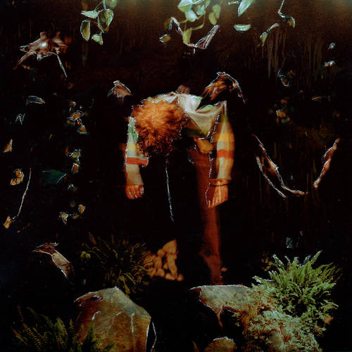 Cavetown - worm food [Evergreen in Milky Clear Color-In-Color LP]