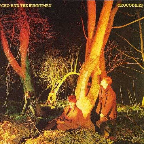 Echo & The Bunnymen - Crocodiles [Rocktober 2021 LP]
