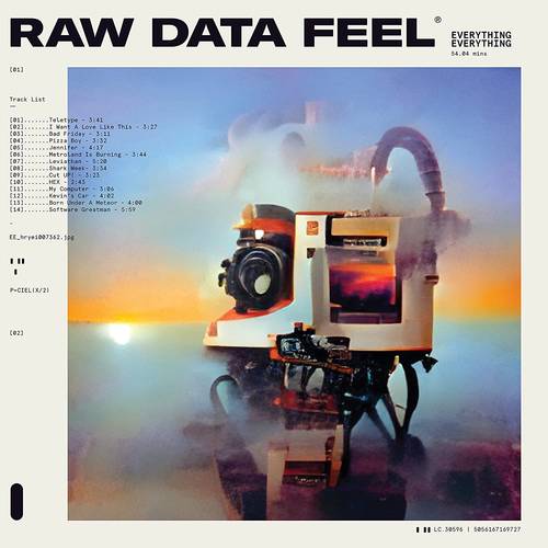 Everything Everything - Raw Data Feel [Import LP]