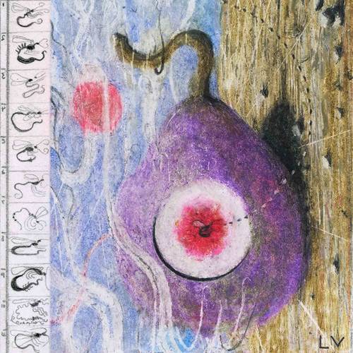 Lunar Vacation - Inside Every Fig is a Dead Wasp [Cassette]