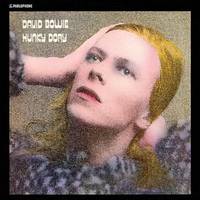 David Bowie - Hunky Dory [Limited Edition Picture Disc LP]