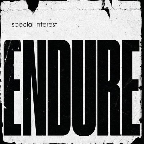 Special Interest - Endure [LP]