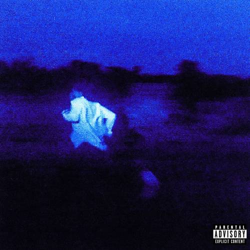 新品未開封Daniel Caesar - NEVER ENOUGH レコード Daniel Caesar - NEVER ENOUGH [2LP] | RECORD STORE DAY