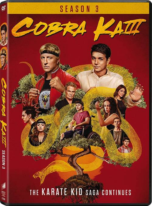 Cobra Kai [TV Series] - Cobra Kai: Season 3