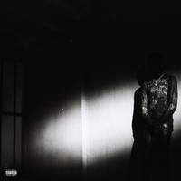 Destroy Lonely - NO STYLIST [LP]