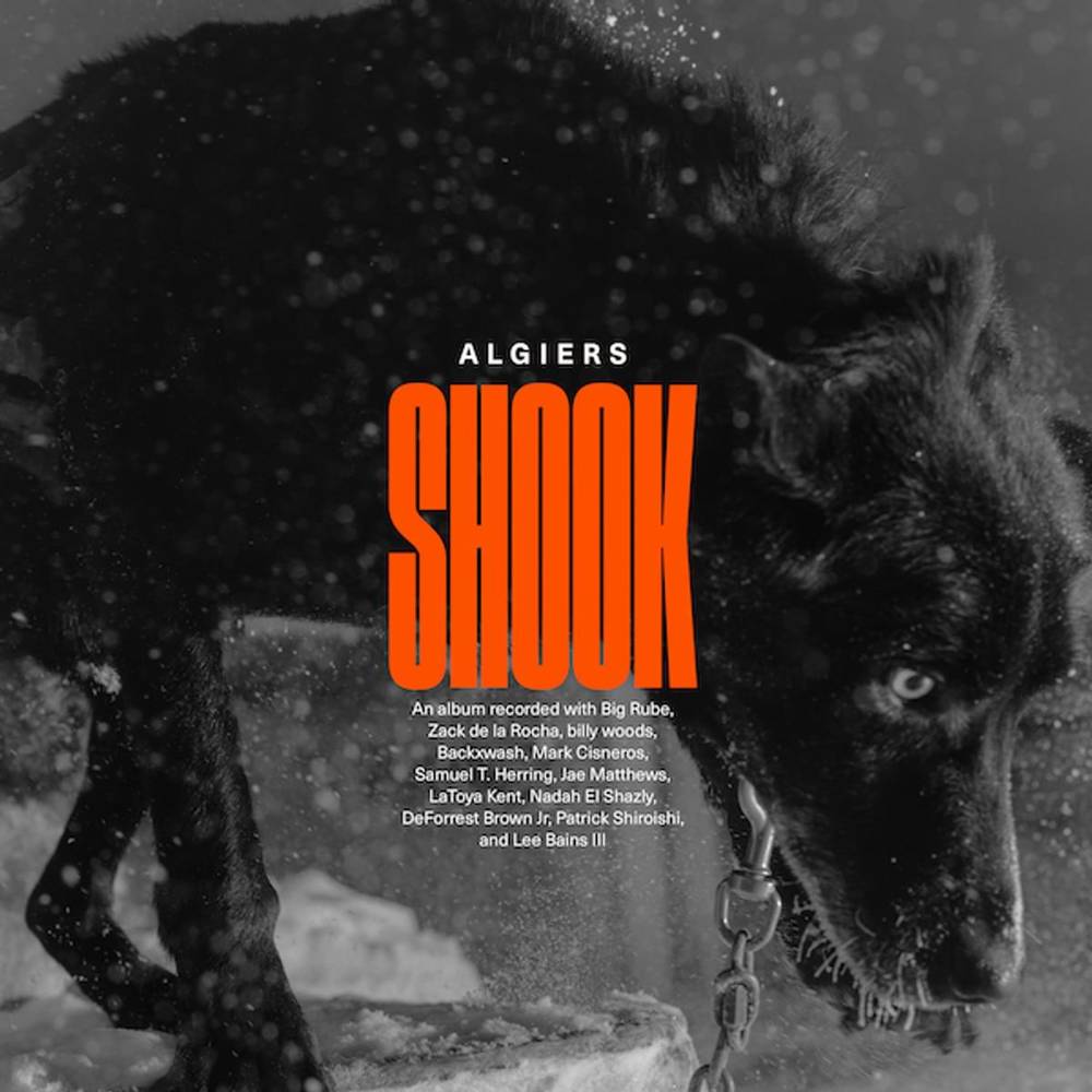 Album Art