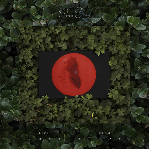 Moses Sumney - Live From Blackalachia [2LP]