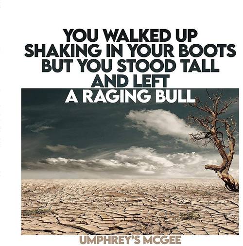 Umphrey's McGee - You Walked Up Shaking In Your Boots But You Stood Tall And Left A Raging Bull [LP]