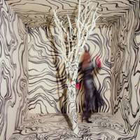 Madison Cunningham - Revealer [LP]