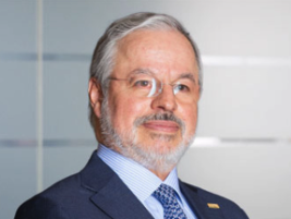 Mario Arreguín - Chief Financial Officer
