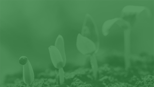 Origin Enterprises plc - Capital Markets Day 2022
