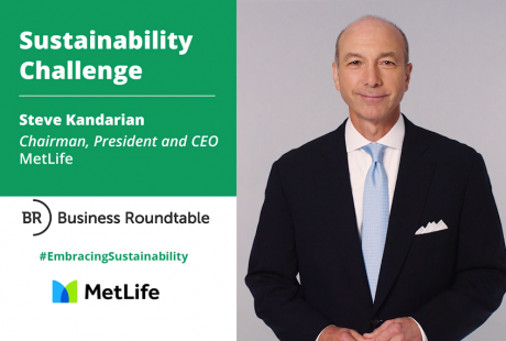 Steve Kandarian, MetLife Inc.