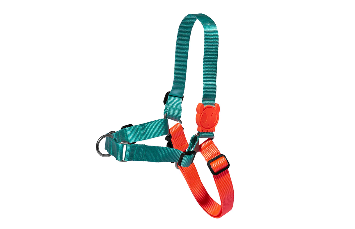 soft walk harness