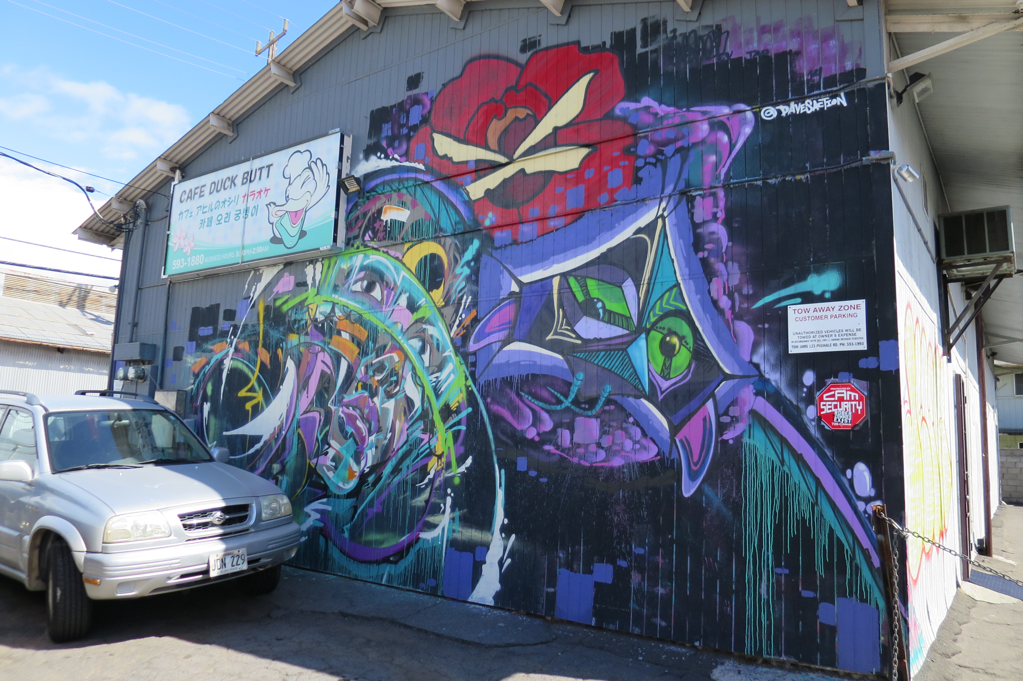 Honolulu Graffiti in the tropics Bombing Science