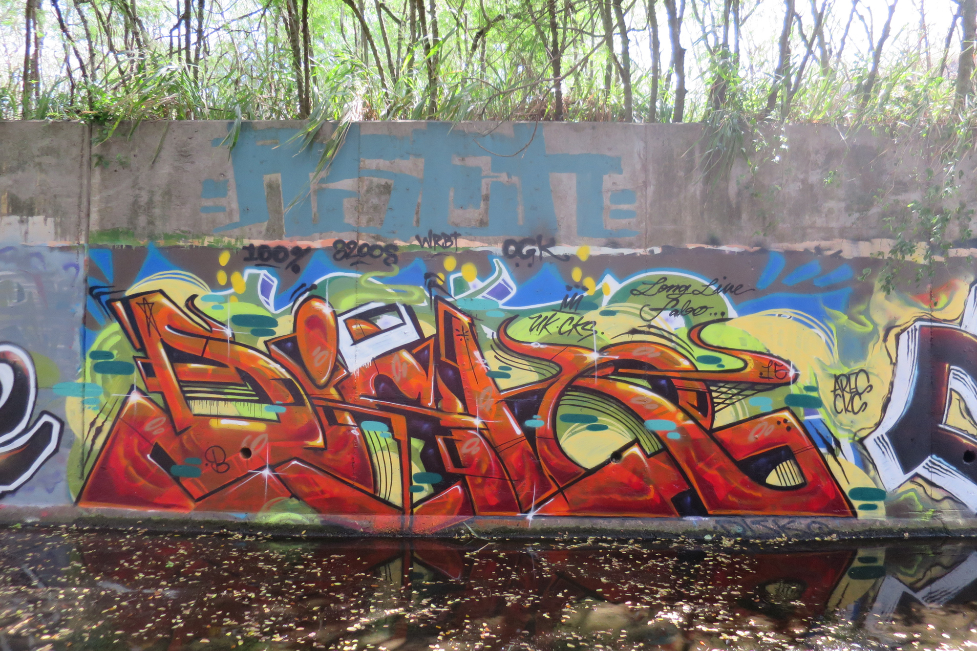 Honolulu Graffiti in the tropics Bombing Science