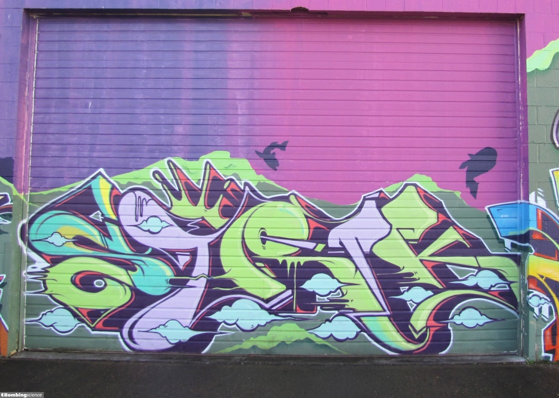 Portland Graffiti Pictures Bombing Science