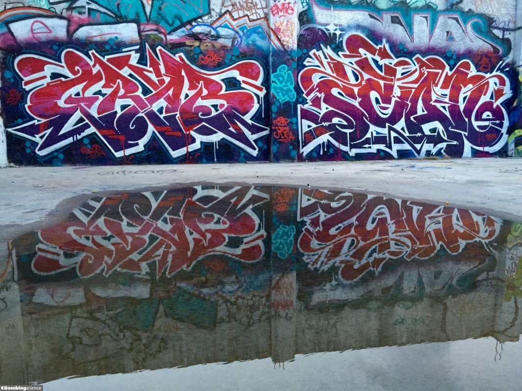 Grabster / Miami / Walls