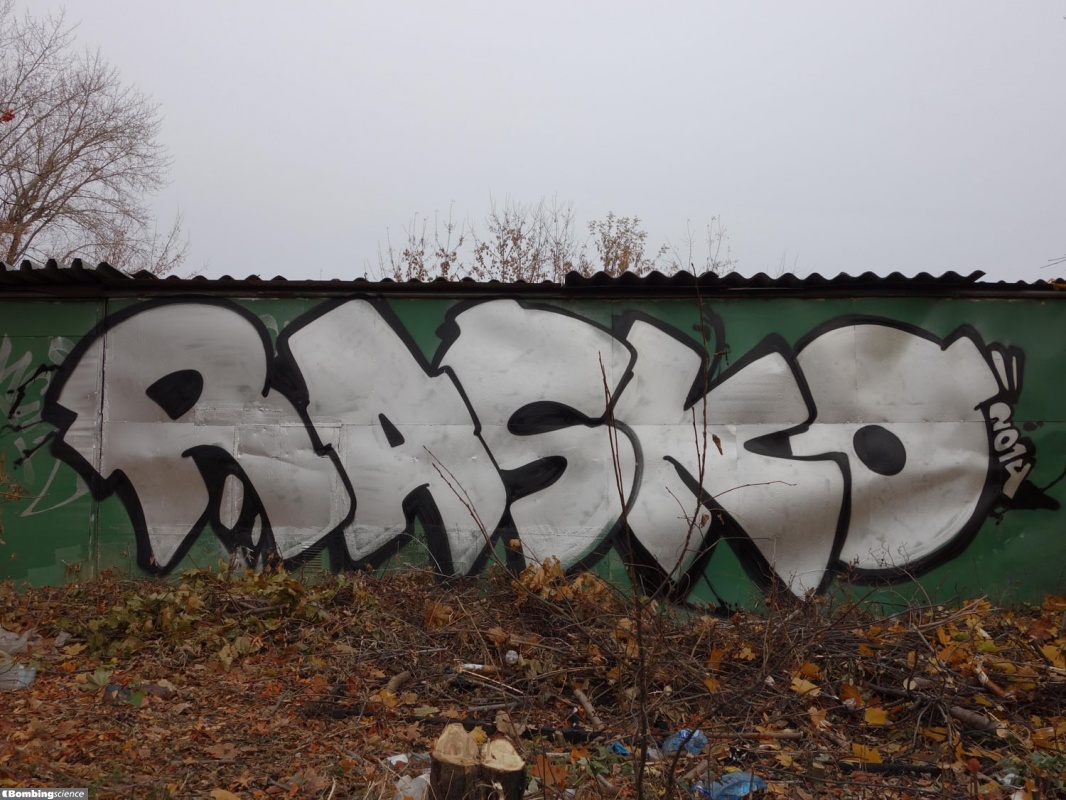 Rasko / Moscow / Walls