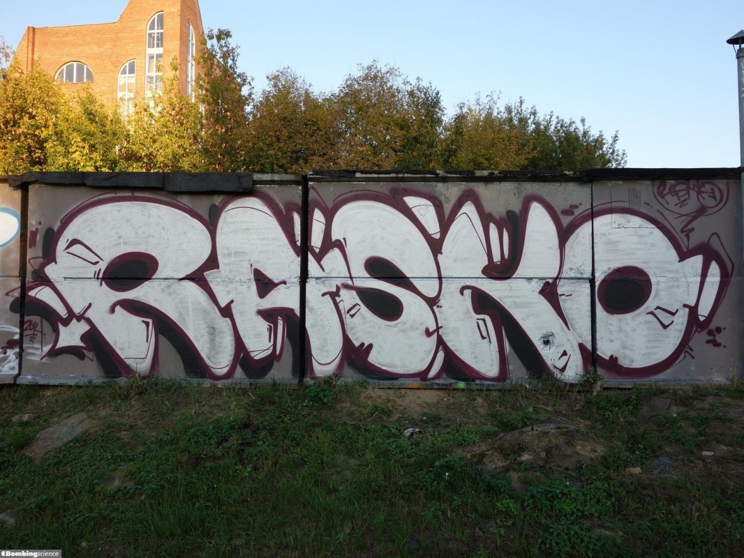 Rasko / Moscow / Walls