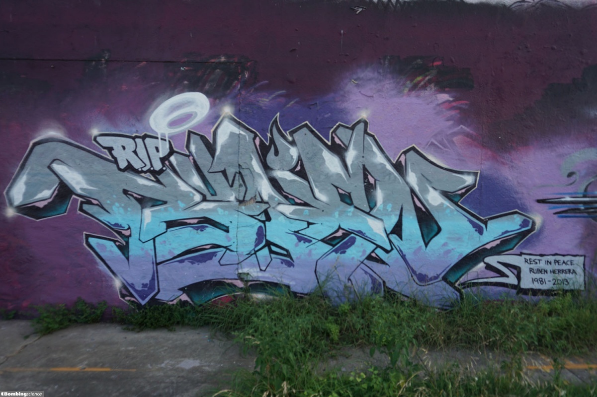 Houston Walls (9 pics) Bombing Science