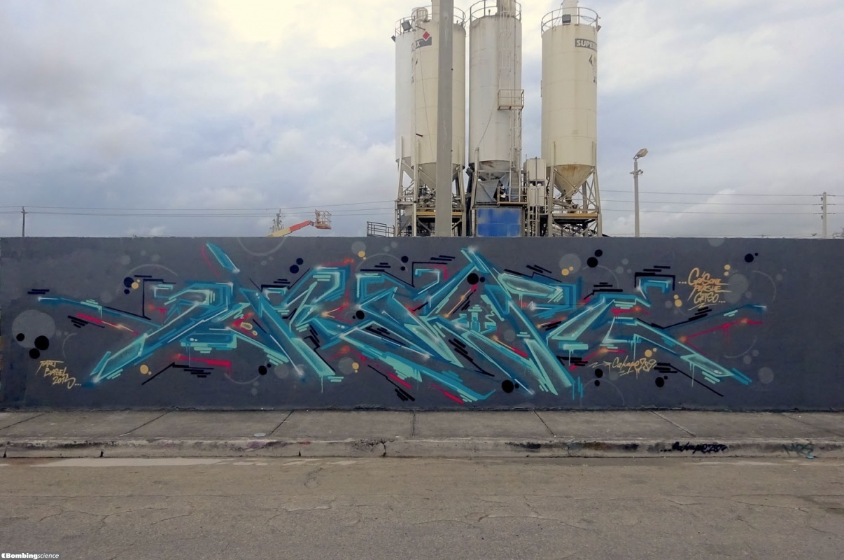 SKape289 / Miami / Walls