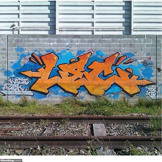 Lec / Toulouse / Walls