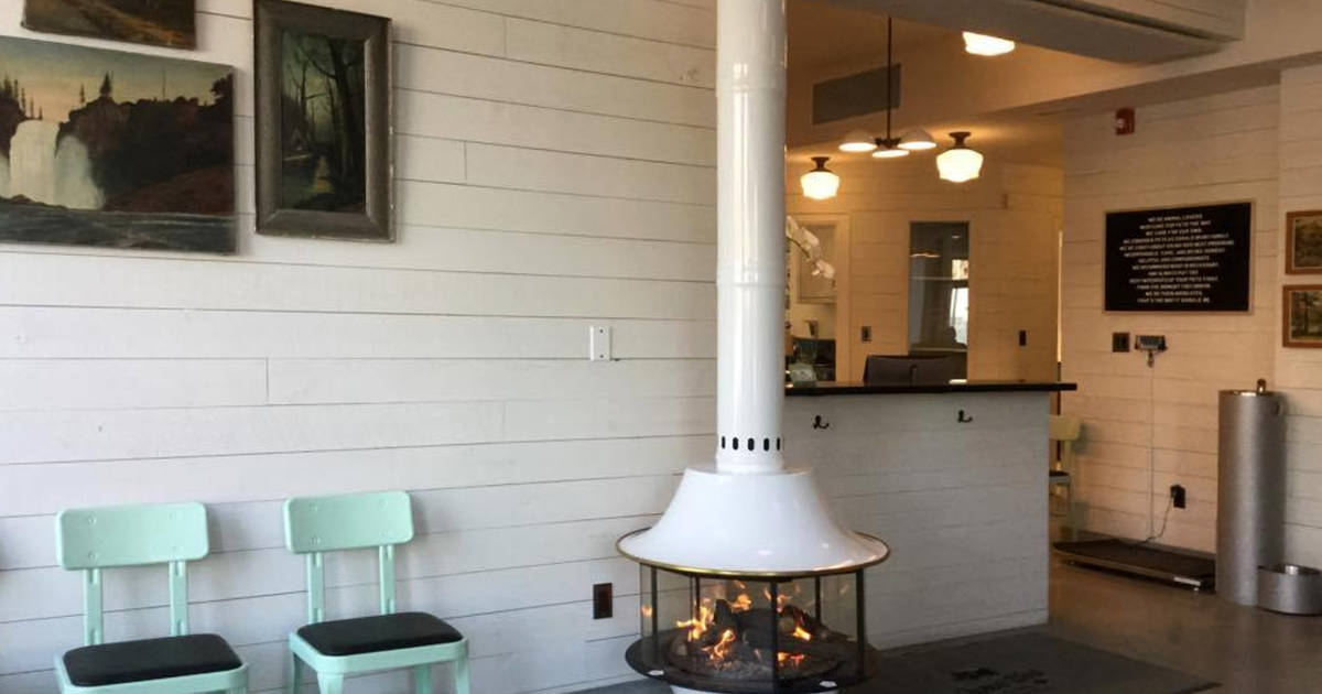 Toronto has a new luxury dog hotel