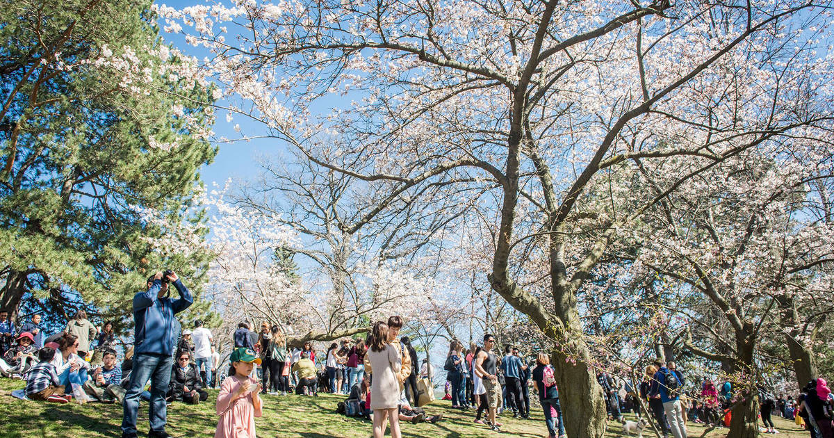 10 things to do with kids in Toronto this spring
