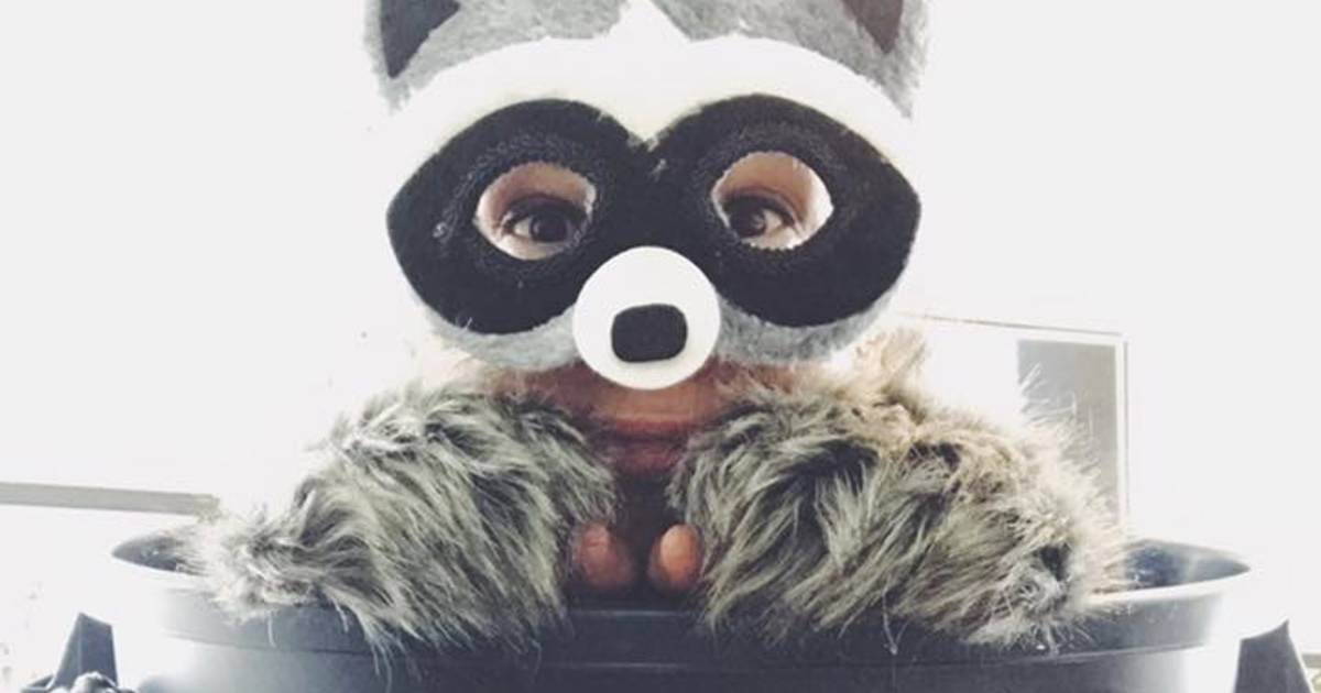 Someone in Toronto dressed up in the most epic raccoon