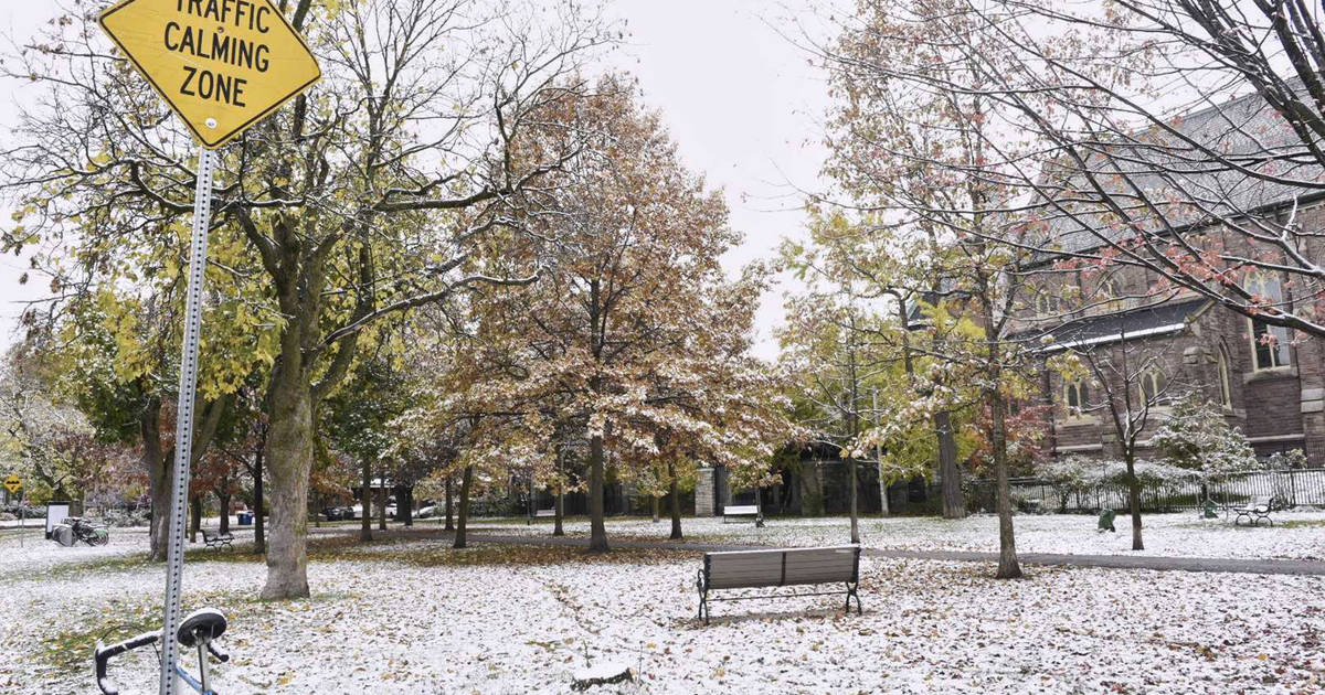 Newcomers In Toronto Are Seeing Snow For The First Time And Loving It