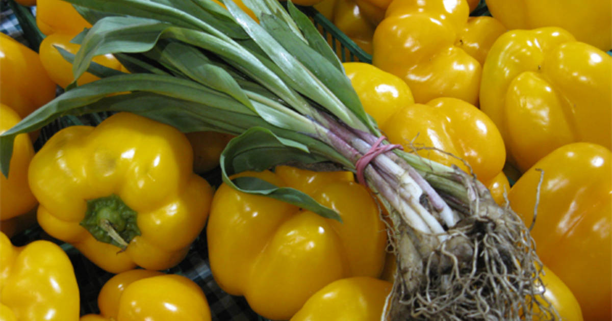 What's Fresh, Toronto? Ramps!