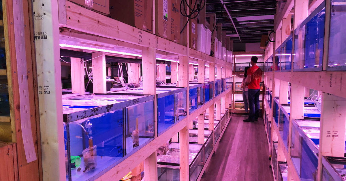 Toronto's most famous pet store and aquarium just reopened