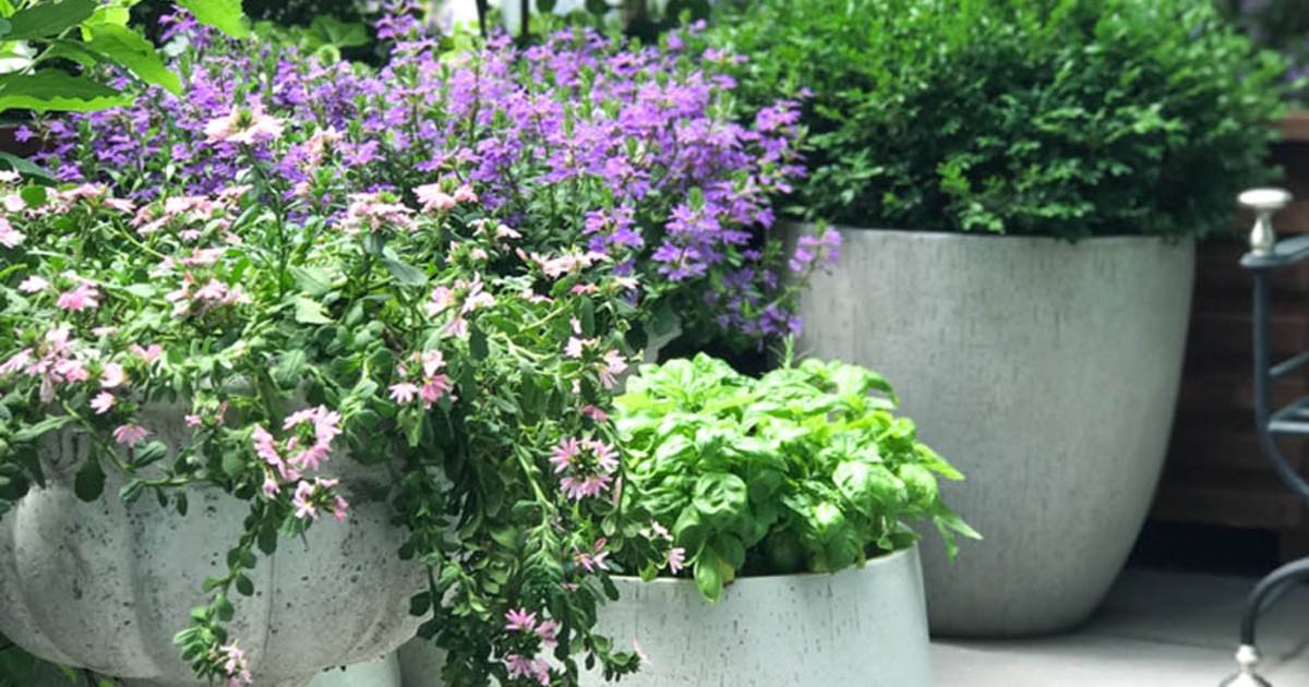 Condo Balcony and Container Gardening Workshop