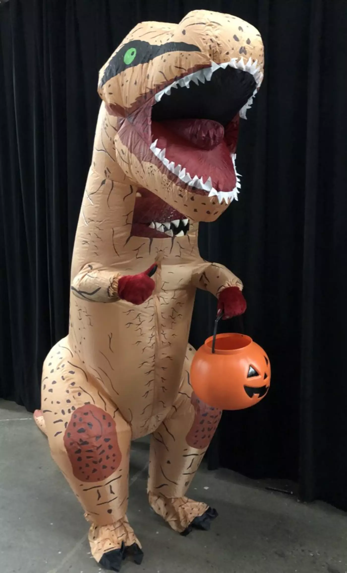 The Toronto Raptors Mascot Halloween Costume Pics
