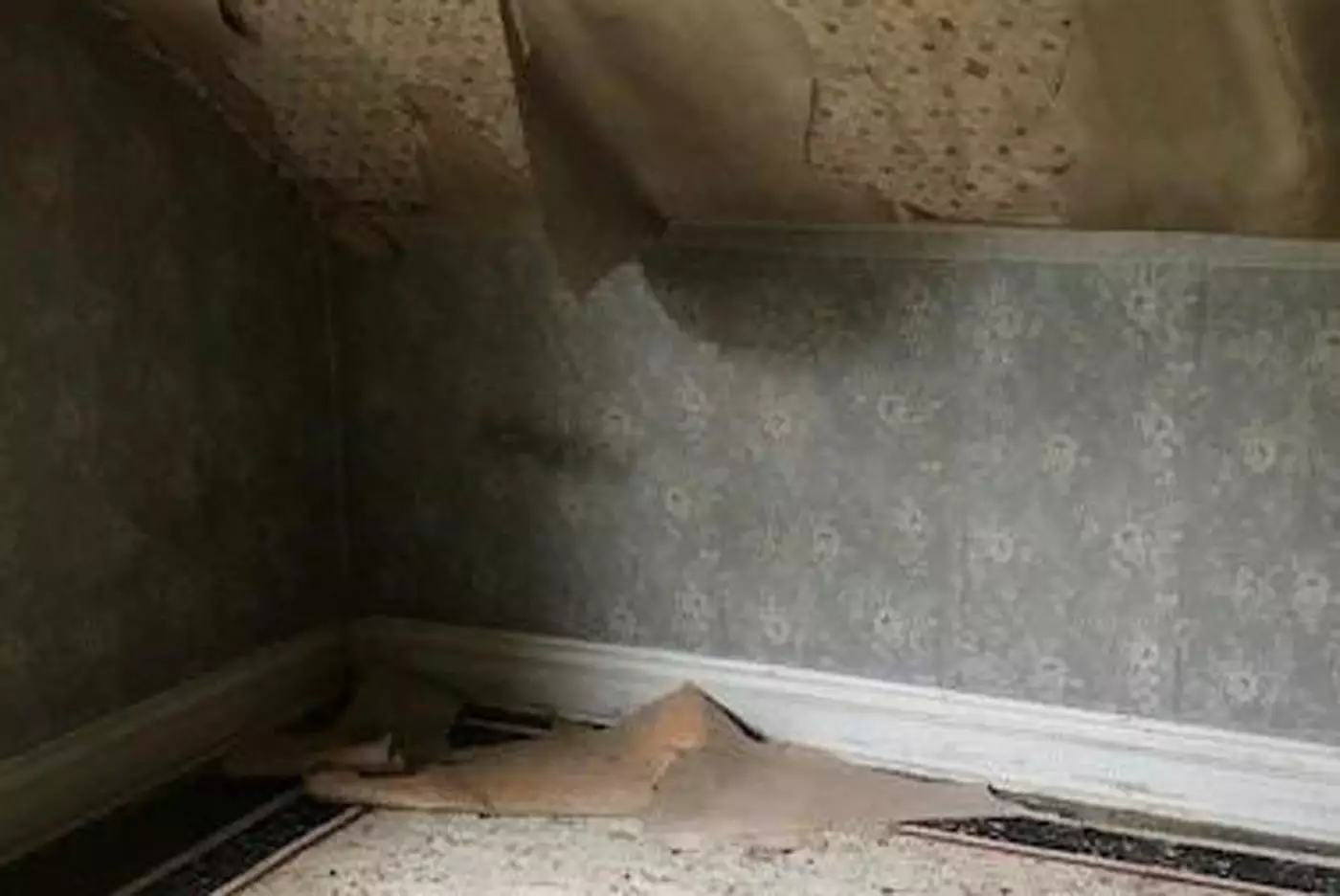 1571638694-real-estate-8.jpg-resize-_opacity_100-frame_bg_color_FFF-h_2500-gravity_center-q_70-preserve_ratio_true-w_1400_.webp